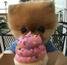 JiffPom