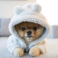 JiffPom