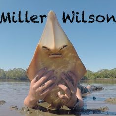 Miller Wilson