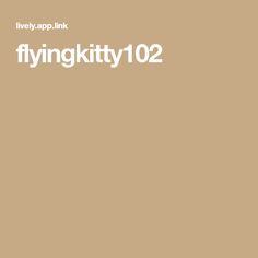 FlyingKitty