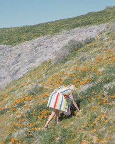 Jimmy Marble