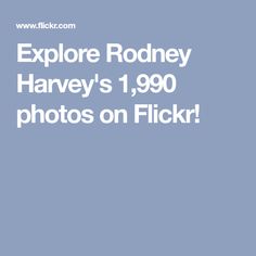 Rodney Harvey