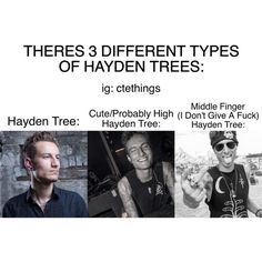 Hayden Tree