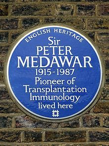 Peter Medawar