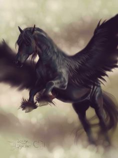 Black Pegasus