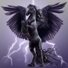 Black Pegasus