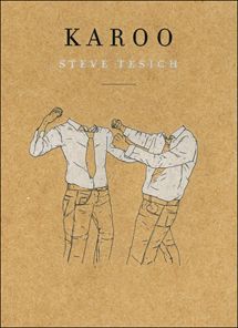 Steve Tesich
