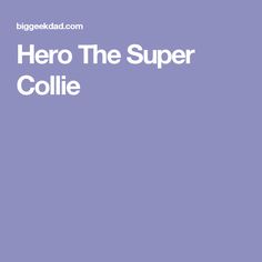 Hero The Super Collie