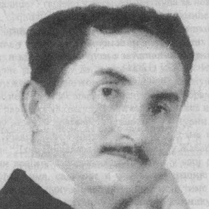 Vojislav Ilic